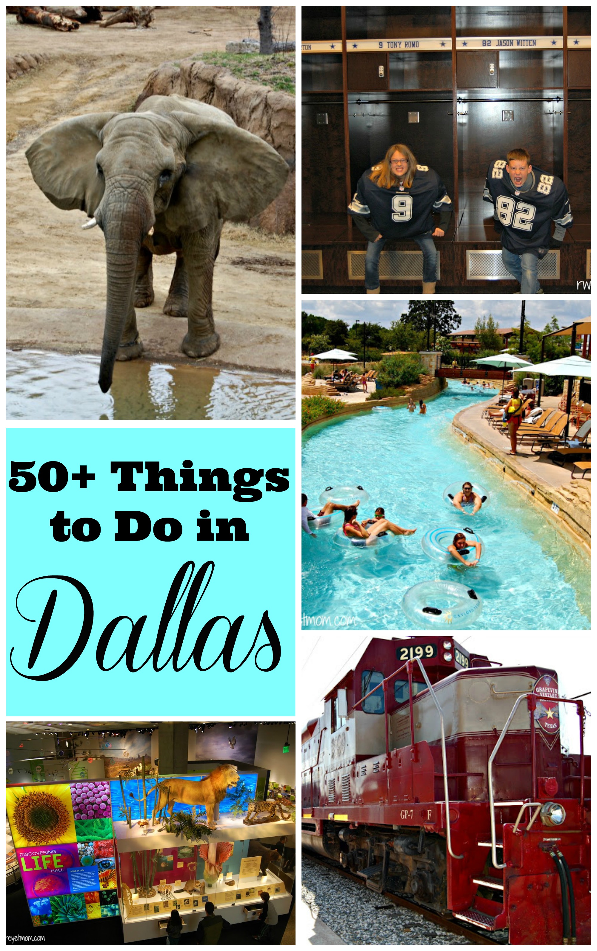 Unveiling The Gems Of Dallas MustDo Experiences