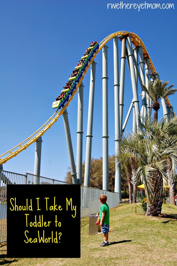 Should I Take My Toddler To Seaworld San Antonio