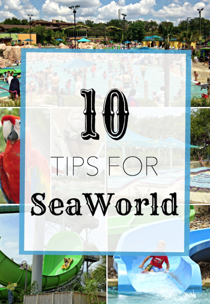 10TipsforSeaWorld1