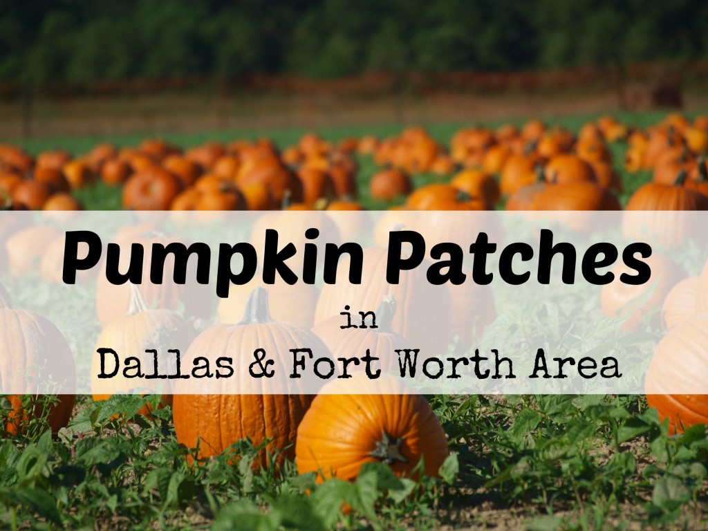Pumpkin Patches in Dallas