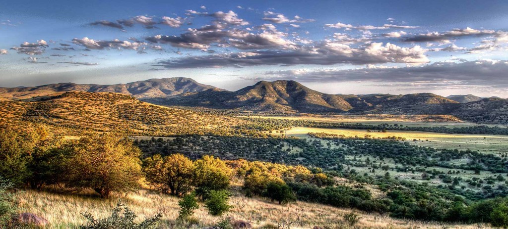 Texas Parks