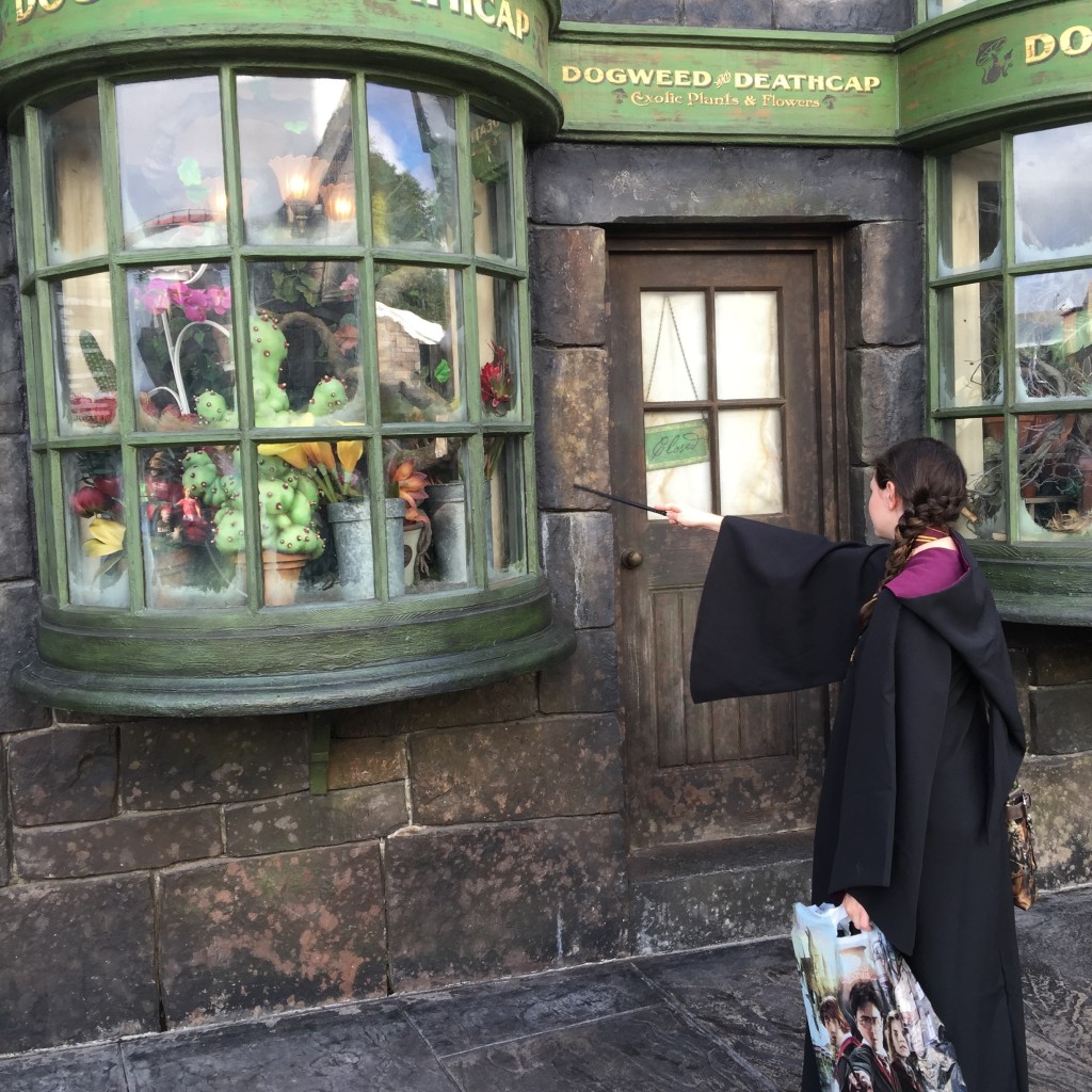 Wizarding World of Harry Potter