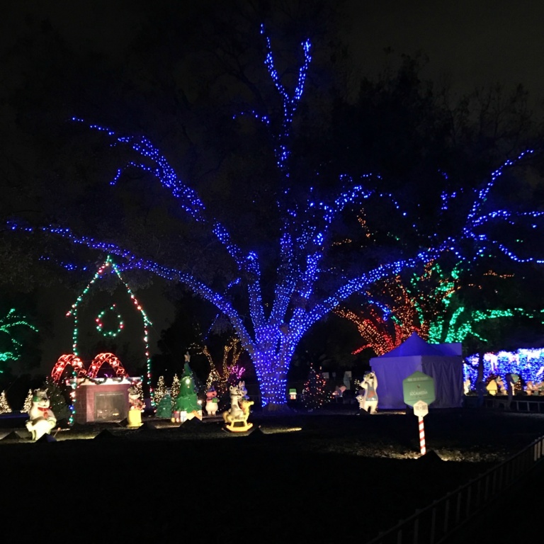 10 Things You Must See at the Austin Trail of Lights | Austin, TX