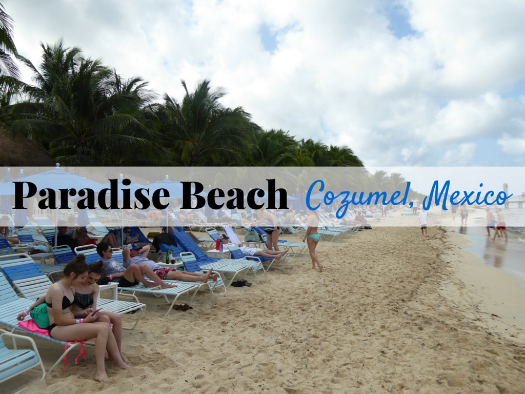 Paradise Beach | Cozumel, Mexico | Cruise Excursion