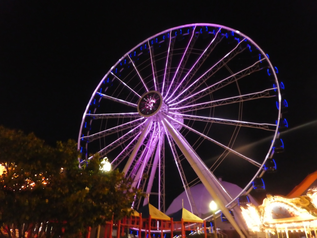 Chicago cu copii - Navy Pier