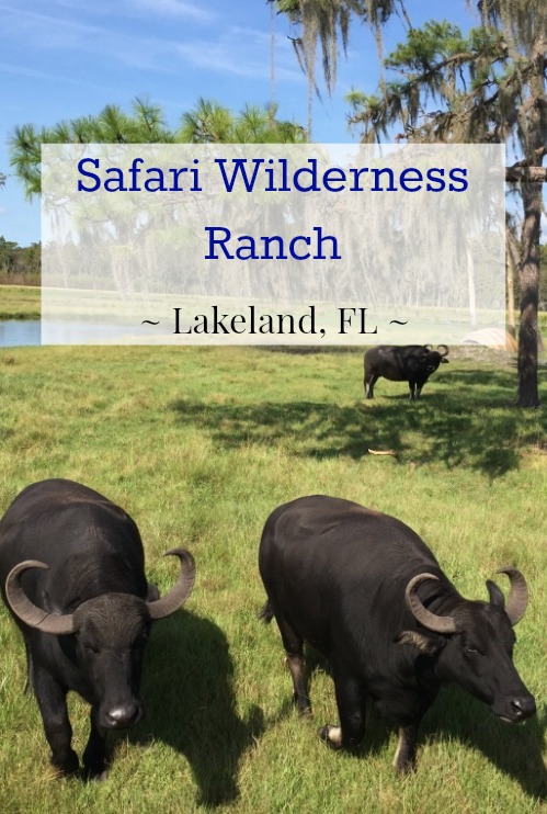 safari-wilderness-ranch