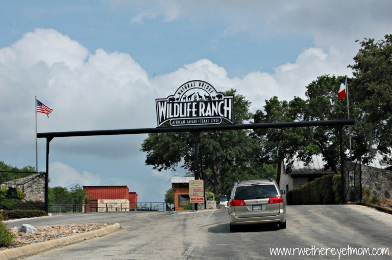 10 Natural Bridge Wildlife Ranch Tips - R We There Yet Mom?