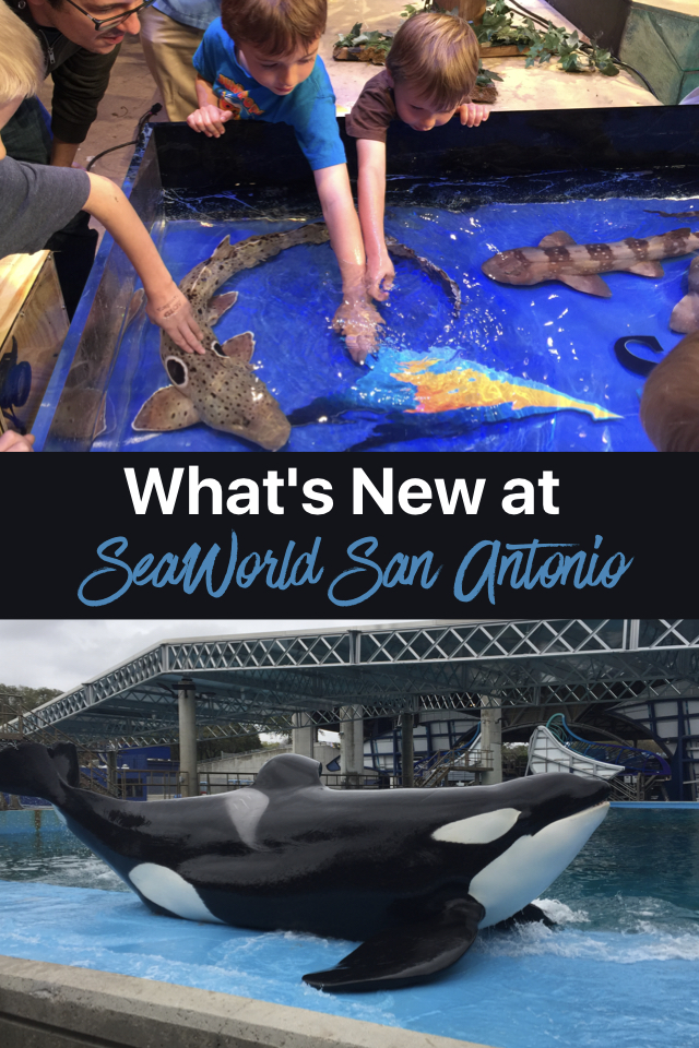 What's New at SeaWorld San Antonio this Spring?