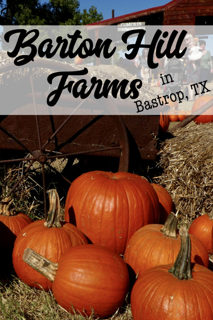 A fun fall family experience at Barton Hill Farms in Bastrop, TX 